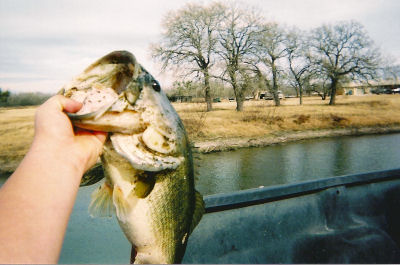 Cappy's Cove Fishing